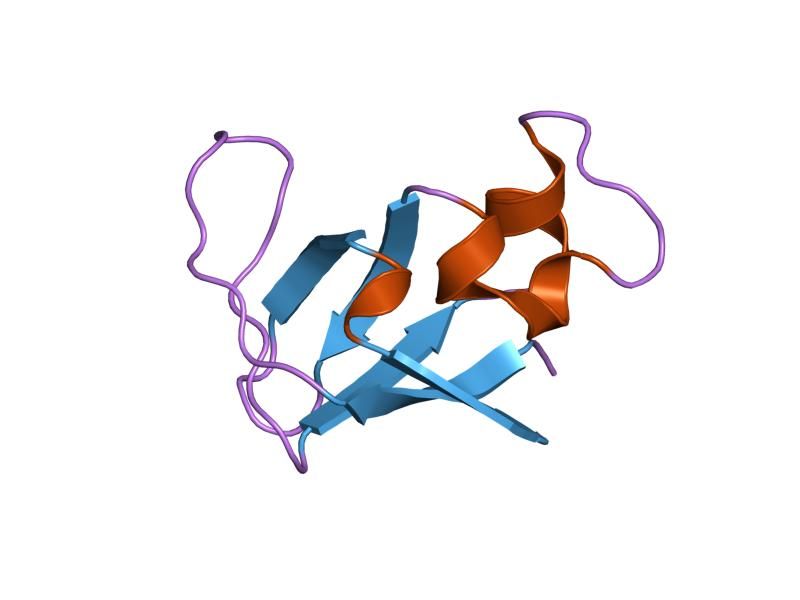 File:PDB 1pks EBI.jpg