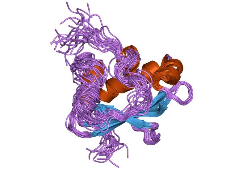 File:PDB 1qnd EBI.jpg