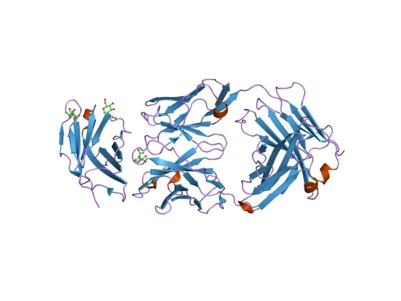 File:PDB 1yjd EBI.jpg