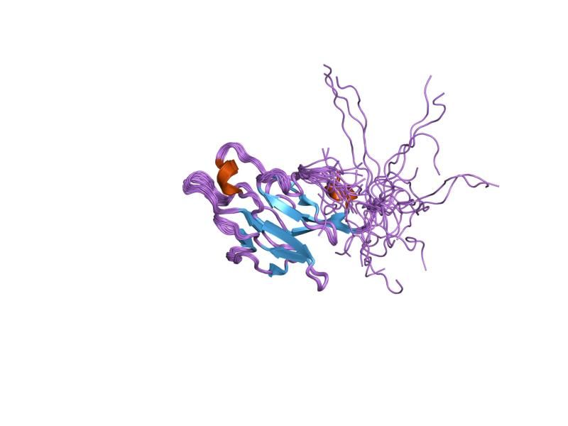 File:PDB 2csw EBI.jpg