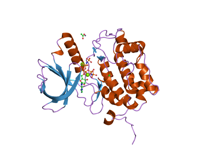 File:PDB 2ou7 EBI.png