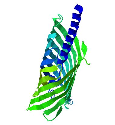 File:Tsh-associated self-cleaving domain (Escherichia coli) and similar.jpg