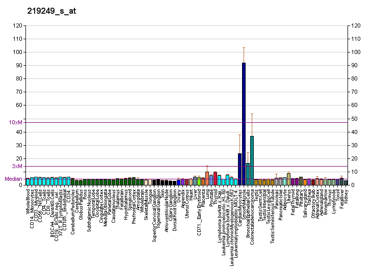 File:PBB GE FKBP10 219249 s at fs.png