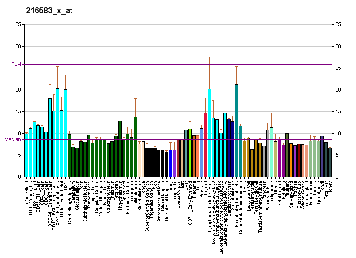 File:PBB GE NOLA2 216583 x at fs.png