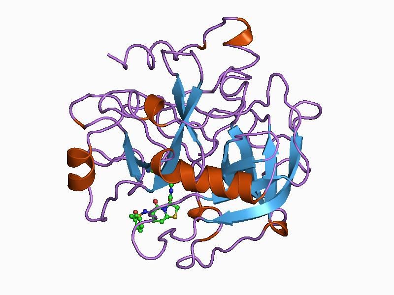 File:PDB 1bhx EBI.jpg