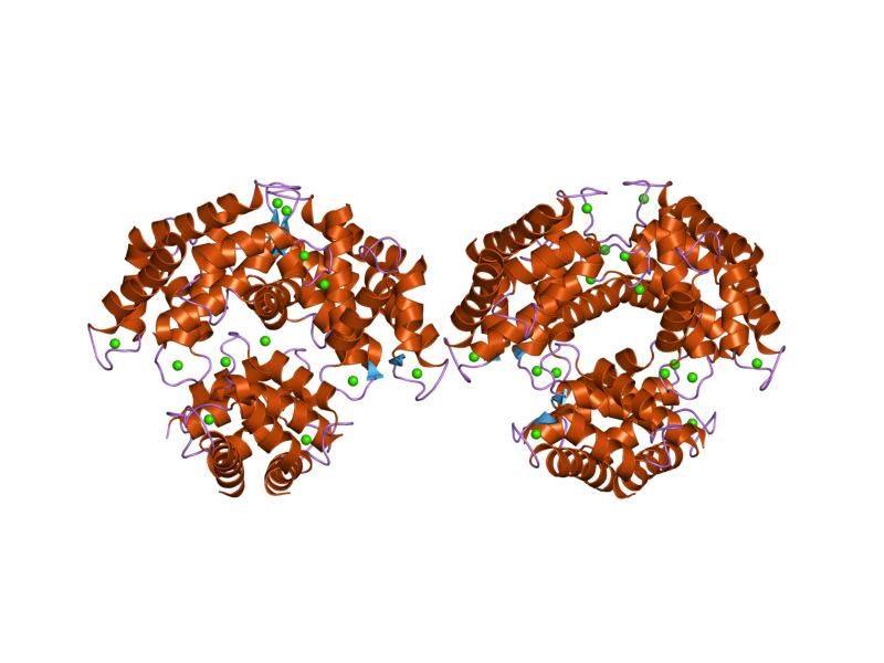 File:PDB 1gqm EBI.jpg