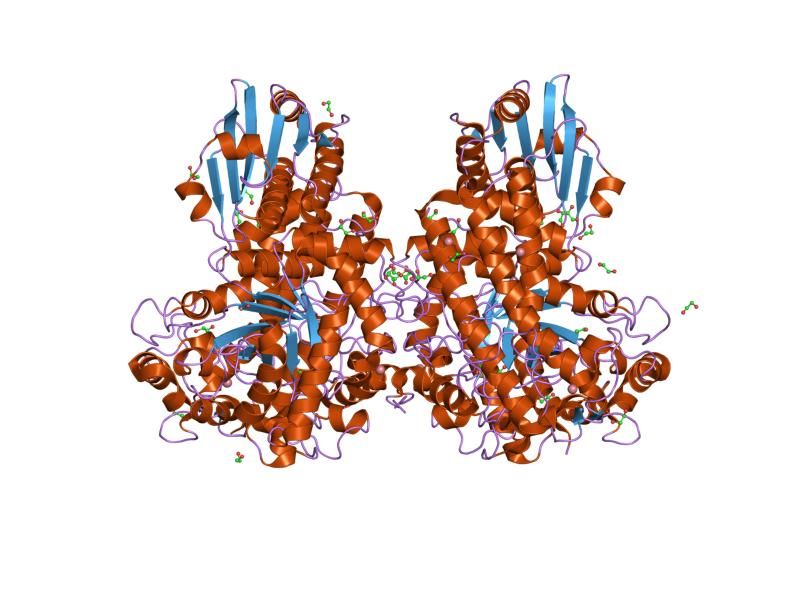 File:PDB 1h41 EBI.jpg