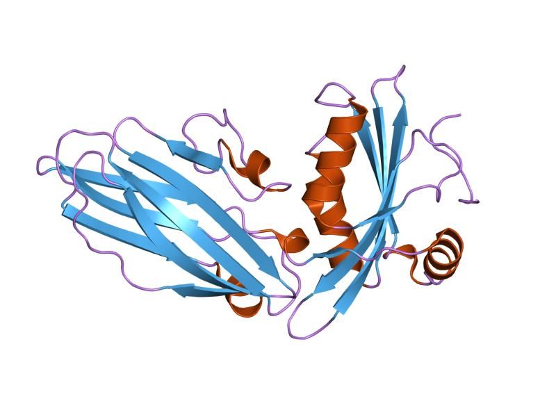 File:PDB 1ky7 EBI.jpg