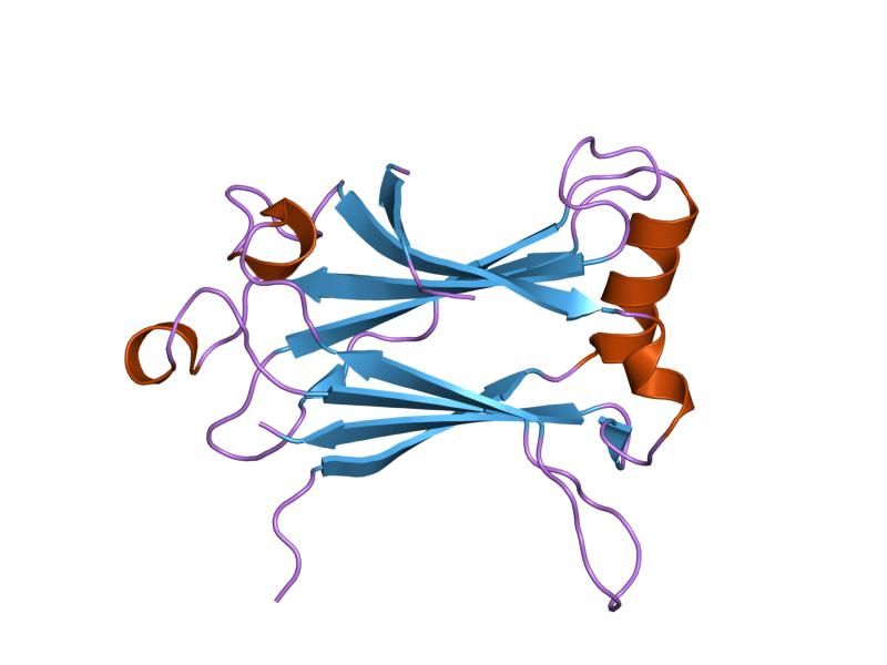 File:PDB 1lb5 EBI.jpg