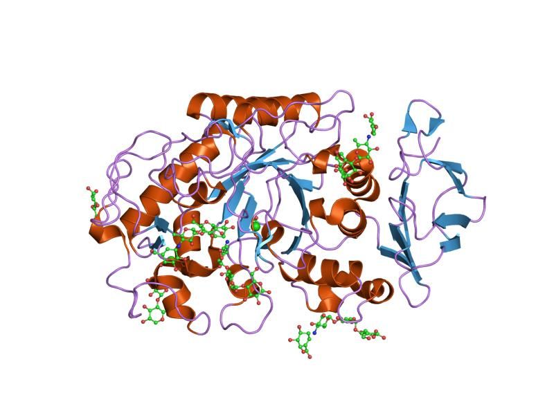 File:PDB 1mfu EBI.jpg