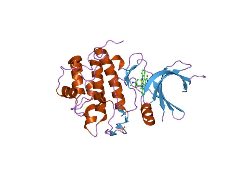 File:PDB 1nvr EBI.jpg