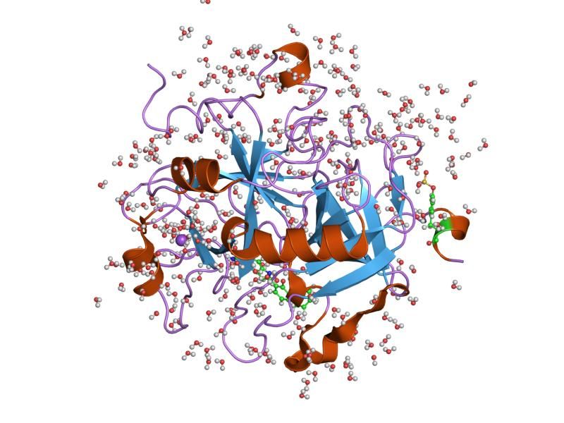 File:PDB 1o2g EBI.jpg