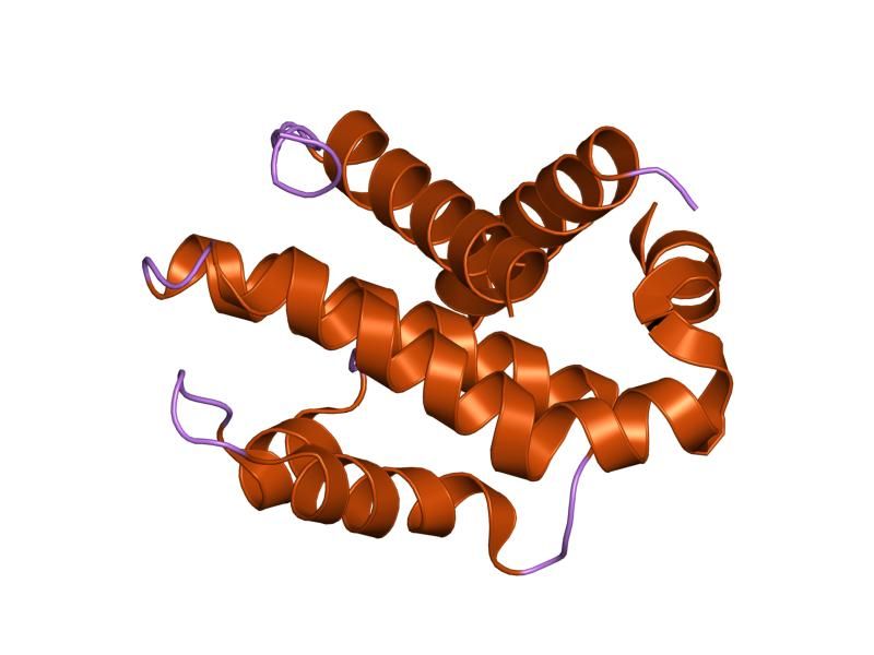 File:PDB 1pq0 EBI.jpg