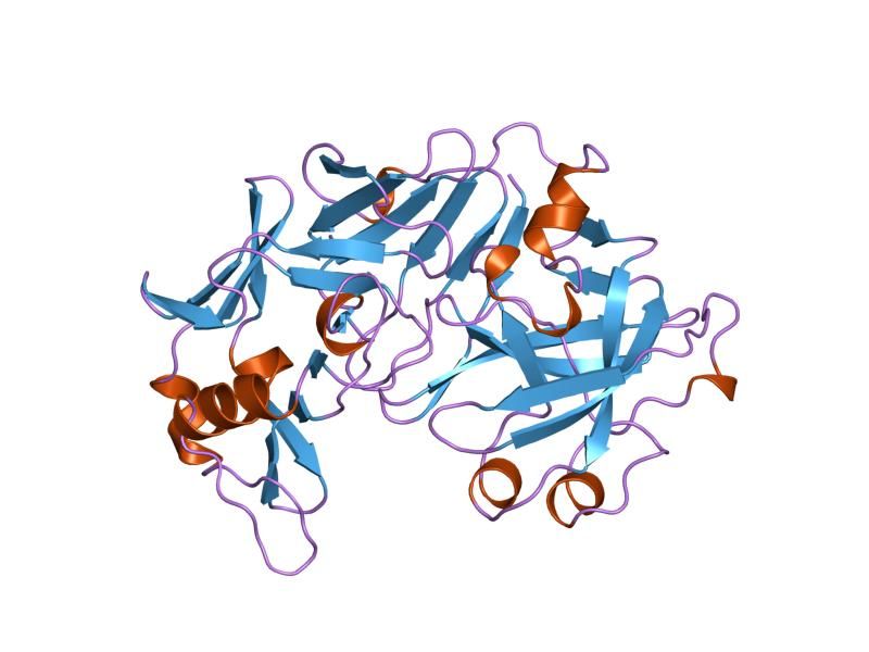 File:PDB 1psn EBI.jpg