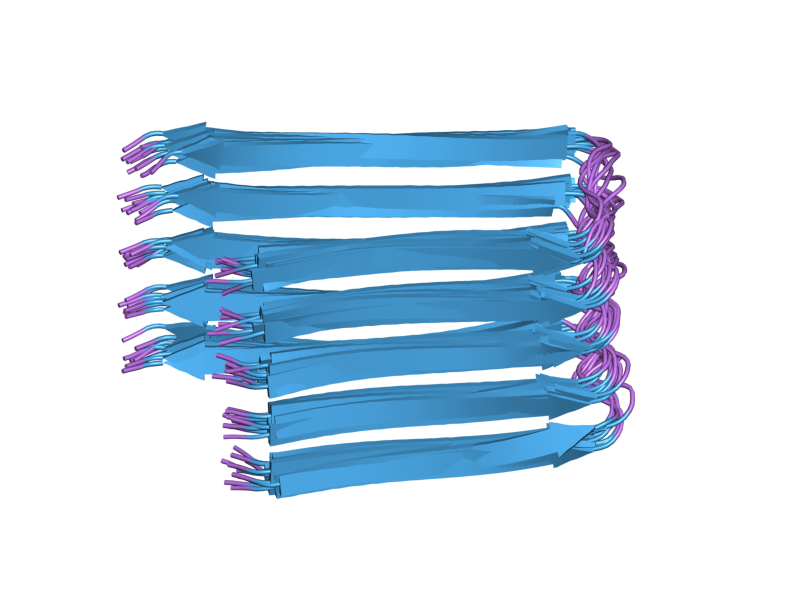 File:PDB 2beg EBI.png