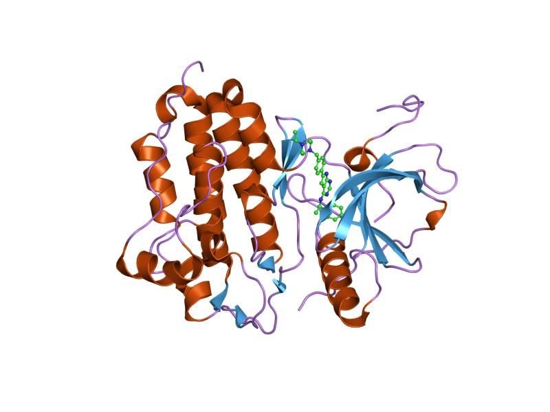 File:PDB 2j6m EBI.jpg