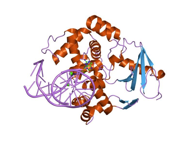 File:PDB 2nob EBI.jpg