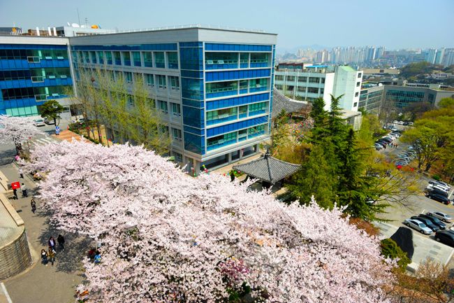 File:Spring in DONGGUK UNIVERSITY.jpg