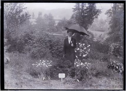 File:Suffragette Lillian Dove-Willcox 1911 planting.jpg