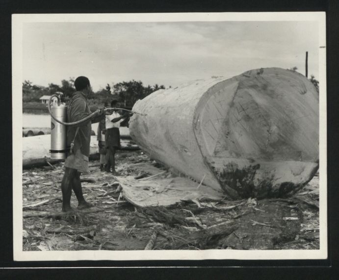 File:The National Archives UK - CO 1069-20-19.jpg