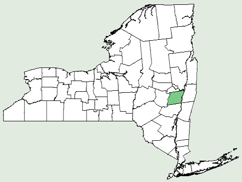 File:Ambrosia bidentata NY-dist-map.png