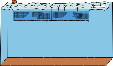 File:EsquemaRedesDeriva.png