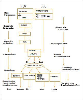 File:Figure 3 - Isotopic Fractionation Sources.JPG