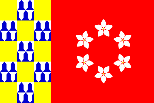 File:Flag of nava.png