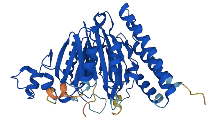 File:Human SCRN3 Predicted Tertiary Structure.png