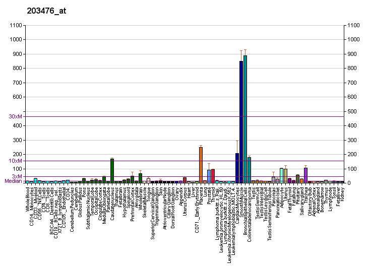 File:PBB GE TPBG 203476 at fs.png