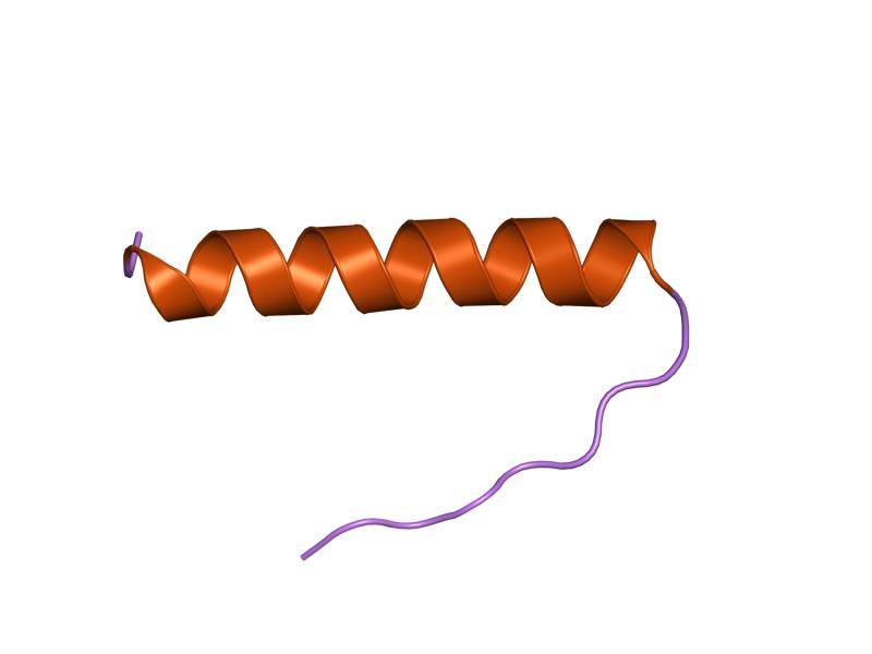 File:PDB 1aie EBI.jpg