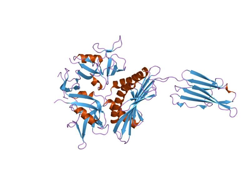 File:PDB 1hyr EBI.jpg