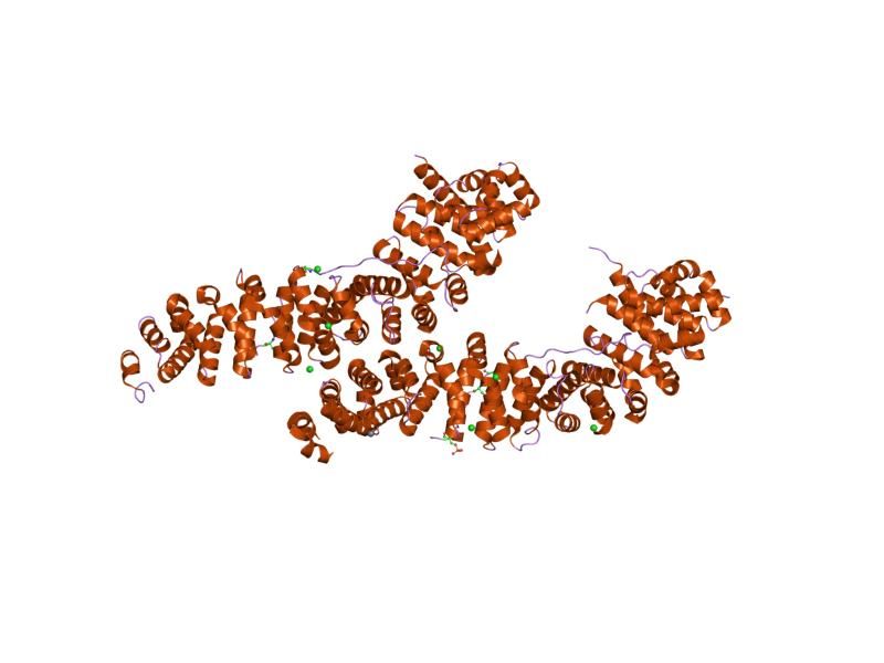 File:PDB 1i7w EBI.jpg