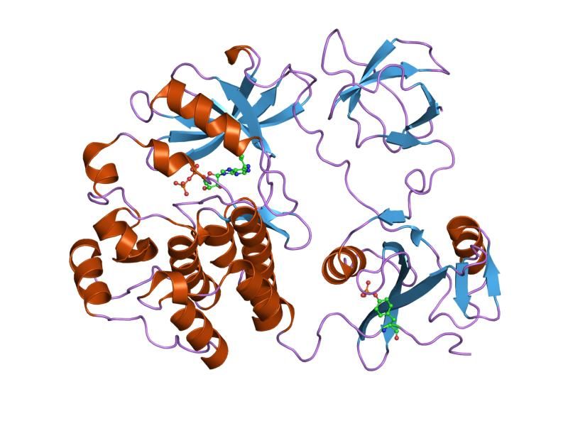 File:PDB 1ksw EBI.jpg