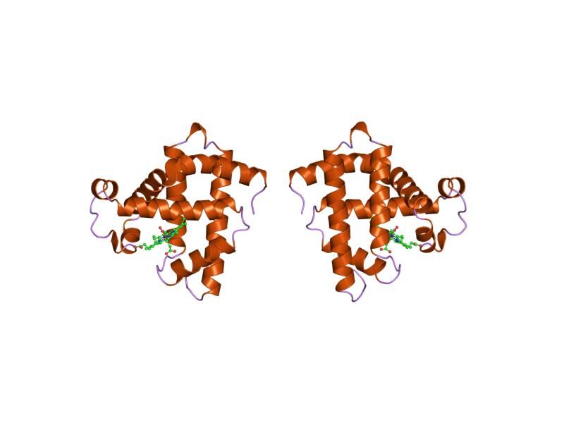 File:PDB 1mno EBI.jpg