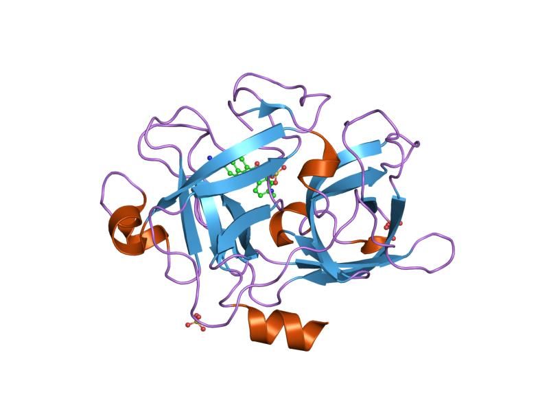 File:PDB 1owh EBI.jpg