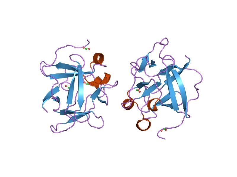 File:PDB 1rg8 EBI.jpg