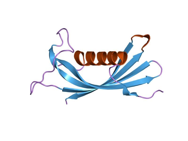 File:PDB 1rn7 EBI.jpg