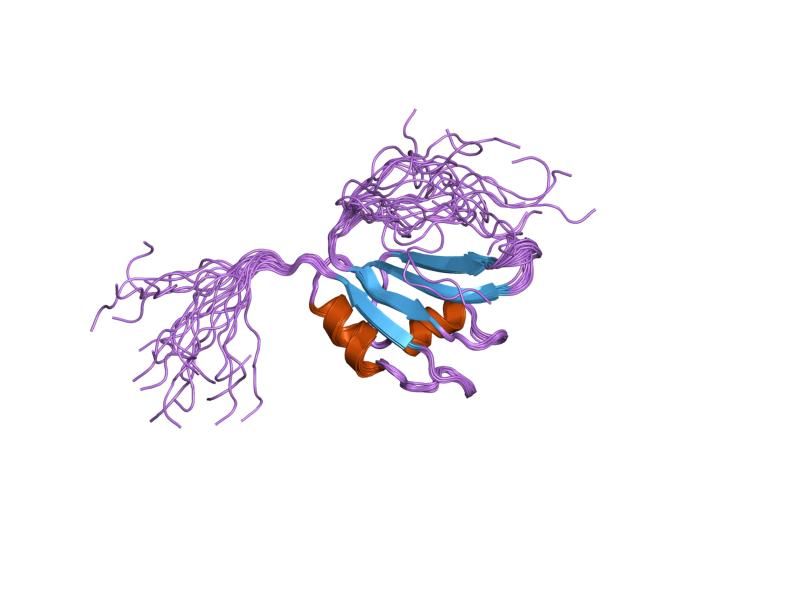 File:PDB 1wez EBI.jpg