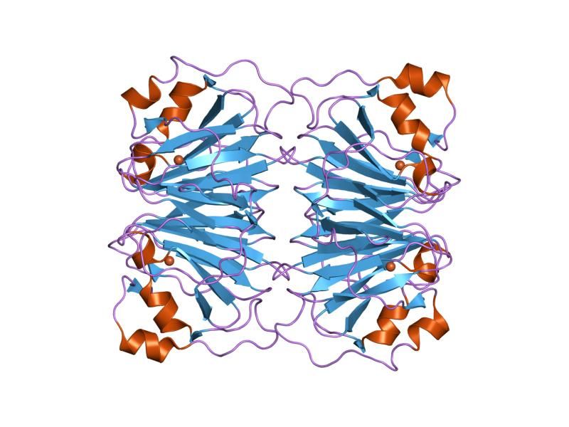 File:PDB 1y3t EBI.jpg