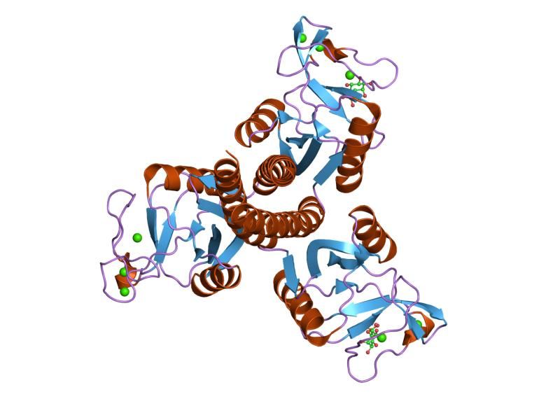 File:PDB 2ork EBI.jpg