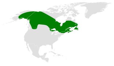 File:Poecile hudsonicus distribution map.png