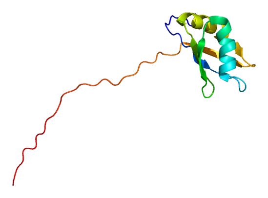 File:Protein SYNCRIP PDB 2dgu.png