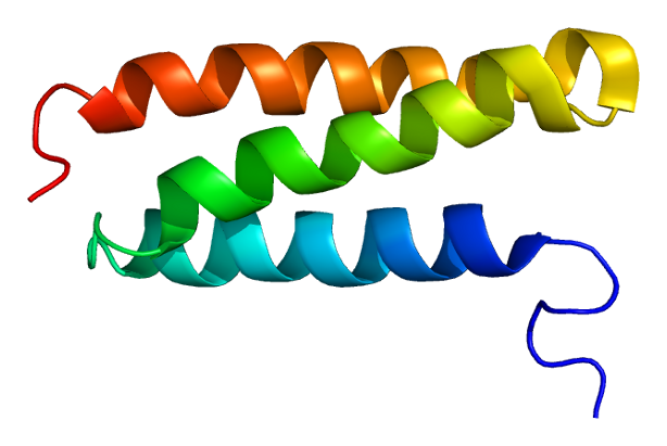 File:Protein VPS4B PDB 1wr0.png