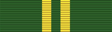 File:SC Achievement Ribbon.JPG