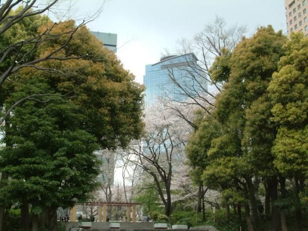 File:Shinjuku central park by Bernaum.jpg