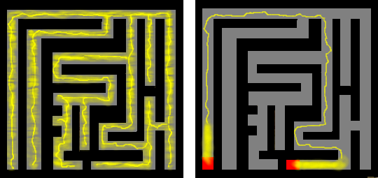 File:Slime mold solves maze.png