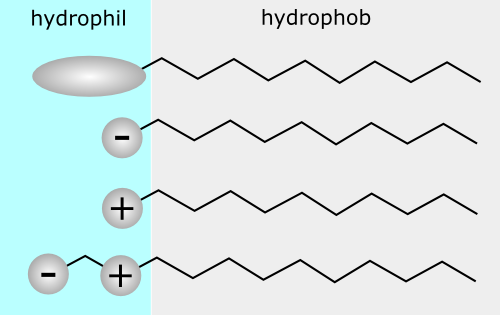 File:TensideHyrophilHydrophob.png