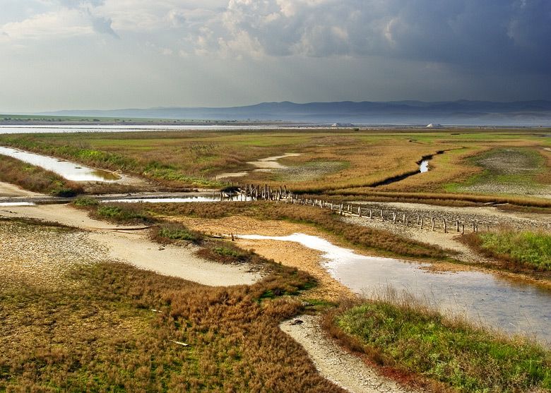 File:Atanasovsko-lake-north.jpg