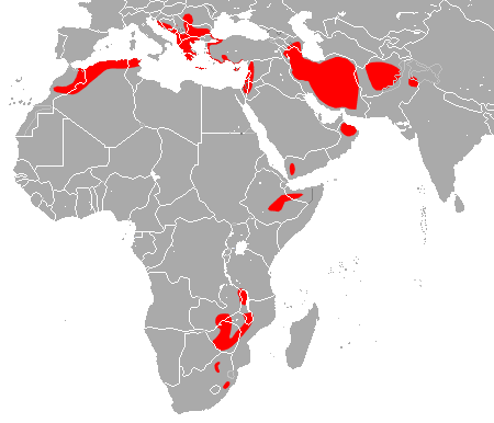 File:Blasius's Horseshoe Bat area.png